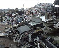 �S���������